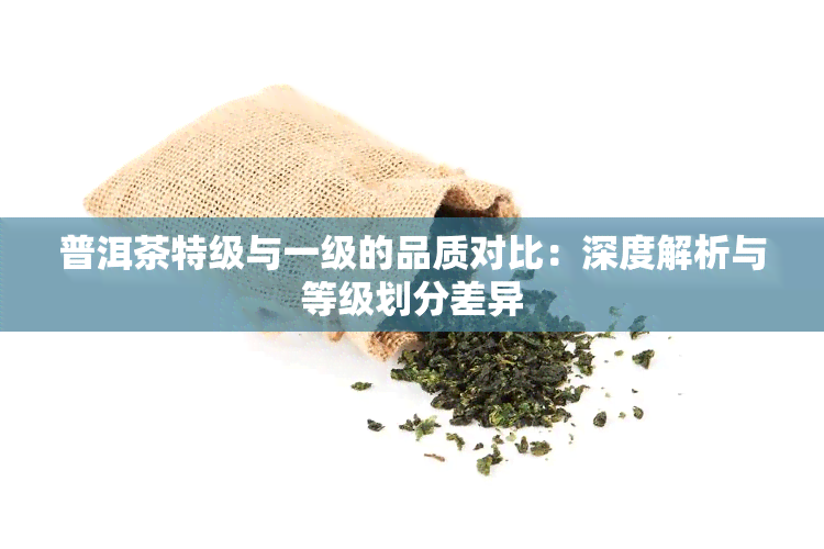 普洱茶特级与一级的品质对比：深度解析与等级划分差异