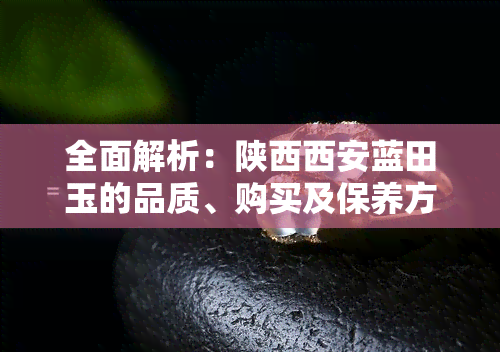 全面解析：陕西西安蓝田玉的品质、购买及保养方法，助您挑选完美玉器