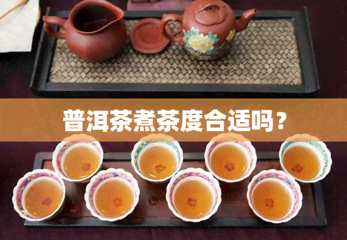 普洱茶煮茶度合适吗？