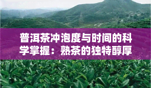 普洱茶冲泡度与时间的科学掌握：熟茶的独特醇厚口感探究