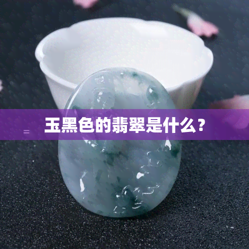 玉黑色的翡翠是什么？