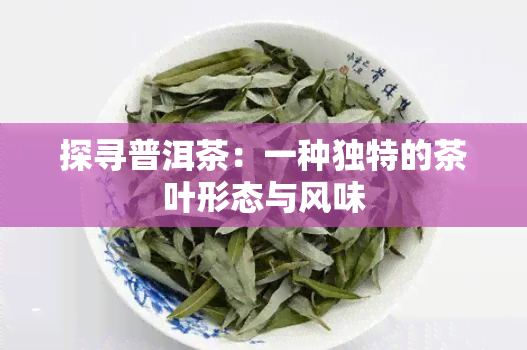 探寻普洱茶：一种独特的茶叶形态与风味