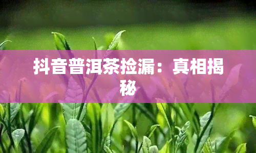 抖音普洱茶捡漏：真相揭秘