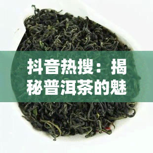 抖音热搜：揭秘普洱茶的魅力与奥秘，让你爱上这款中国特色茶饮！