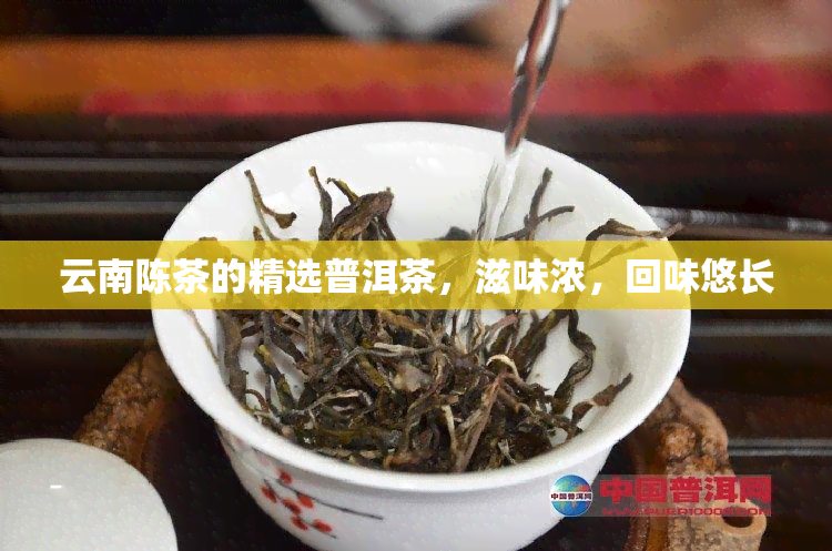 云南陈茶的精选普洱茶，滋味浓，回味悠长