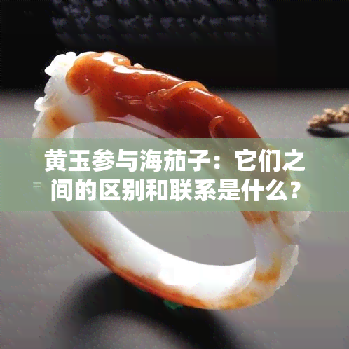 黄玉参与海茄子：它们之间的区别和联系是什么？