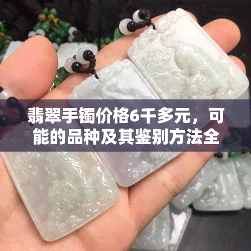 翡翠手镯价格6千多元，可能的品种及其鉴别方法全面解析