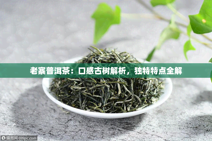 老寨普洱茶：口感古树解析，独特特点全解