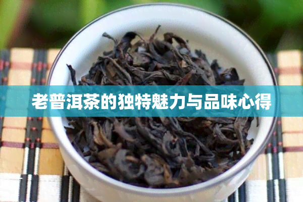 老普洱茶的独特魅力与品味心得