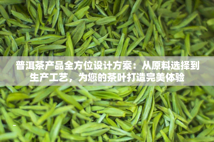 普洱茶产品全方位设计方案：从原料选择到生产工艺，为您的茶叶打造完美体验