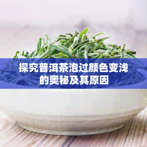 探究普洱茶泡过颜色变浅的奥秘及其原因