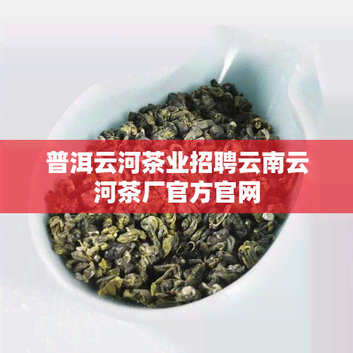 普洱云河茶业招聘云南云河茶厂官方官网