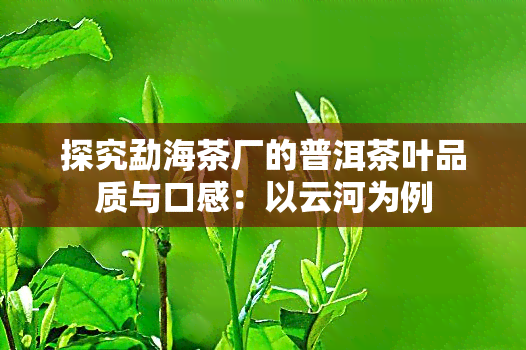 探究勐海茶厂的普洱茶叶品质与口感：以云河为例