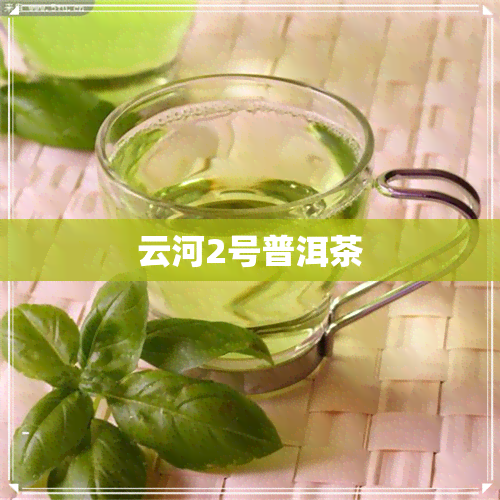 云河2号普洱茶