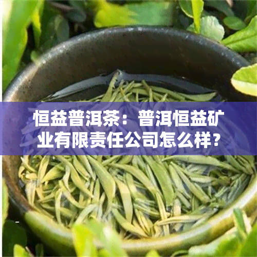 恒益普洱茶：普洱恒益矿业有限责任公司怎么样？