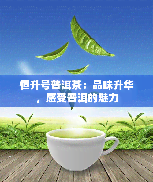 恒升号普洱茶：品味升华，感受普洱的魅力