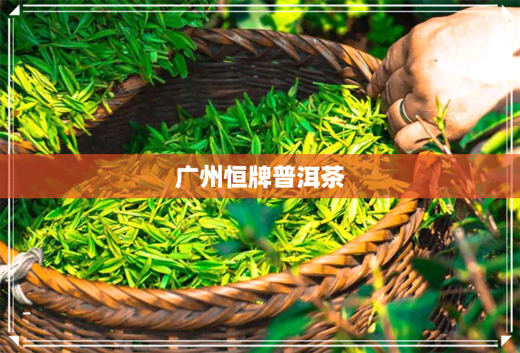 广州恒牌普洱茶