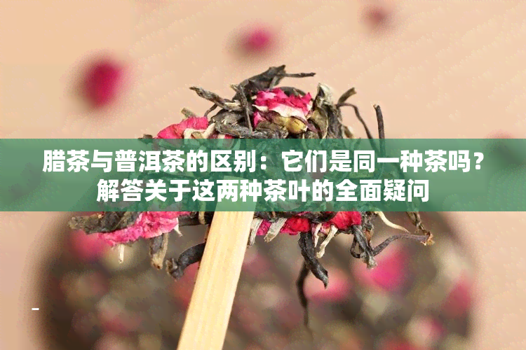 腊茶与普洱茶的区别：它们是同一种茶吗？解答关于这两种茶叶的全面疑问