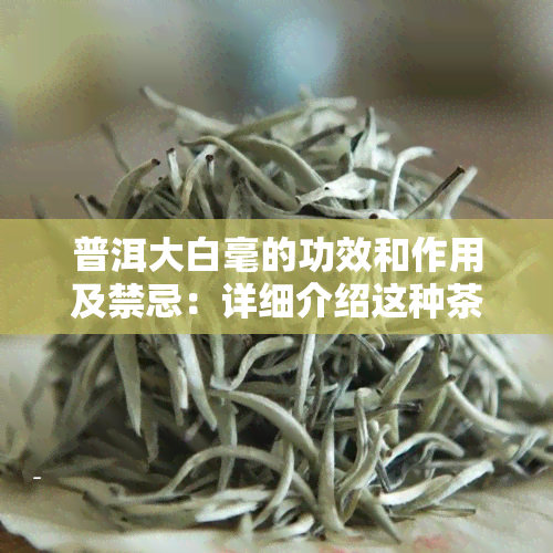 普洱大白毫的功效和作用及禁忌：详细介绍这种茶叶的理效果与适用人群。