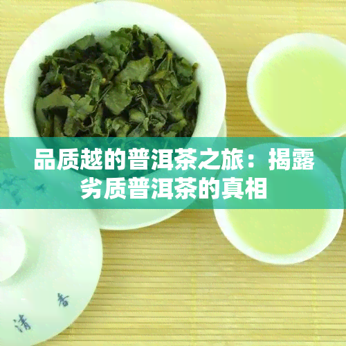 品质越的普洱茶之旅：揭露劣质普洱茶的真相