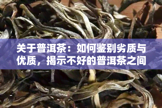 关于普洱茶：如何鉴别劣质与优质，揭示不好的普洱茶之间的区别