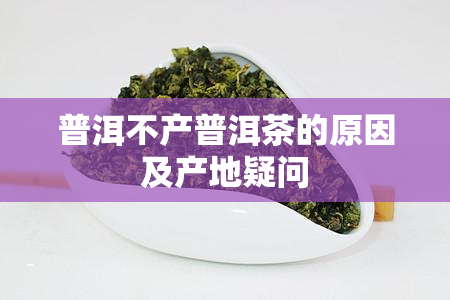 普洱不产普洱茶的原因及产地疑问