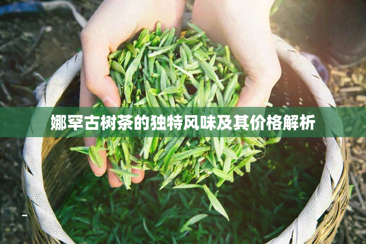 娜罕古树茶的独特风味及其价格解析