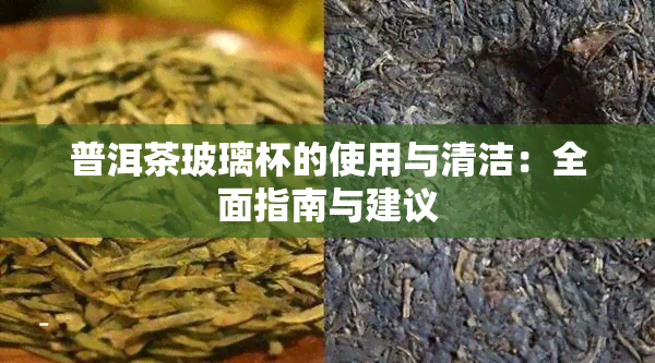 普洱茶玻璃杯的使用与清洁：全面指南与建议