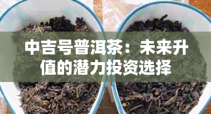 中吉号普洱茶：未来升值的潜力投资选择