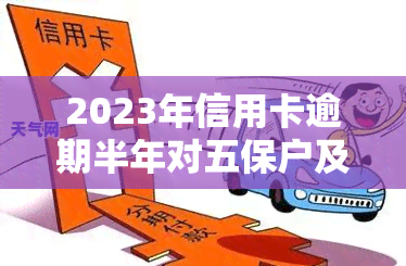 2023年信用卡逾期半年对五保户及低保影响如何解决？