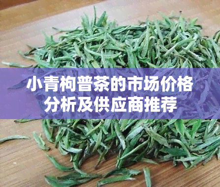 小青枸普茶的市场价格分析及供应商推荐