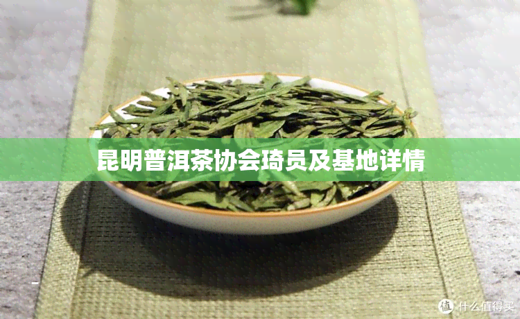 昆明普洱茶协会琦员及基地详情