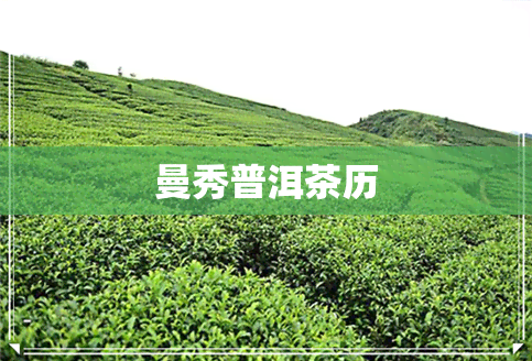 曼秀普洱茶历