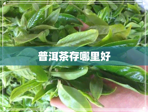 普洱茶存哪里好