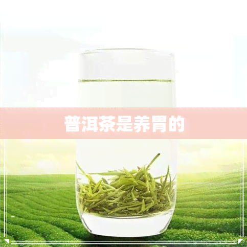 普洱茶是养胃的