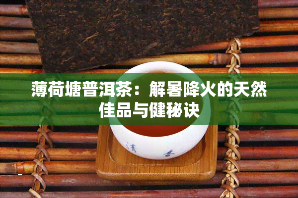 薄荷塘普洱茶：解暑降火的天然佳品与健秘诀