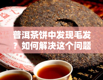 普洱茶饼中发现毛发？如何解决这个问题并避免购买到劣质产品