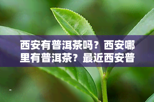 西安有普洱茶吗？西安哪里有普洱茶？最近西安普洱茶专卖店和市场怎么样？