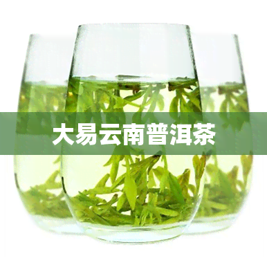 大易云南普洱茶