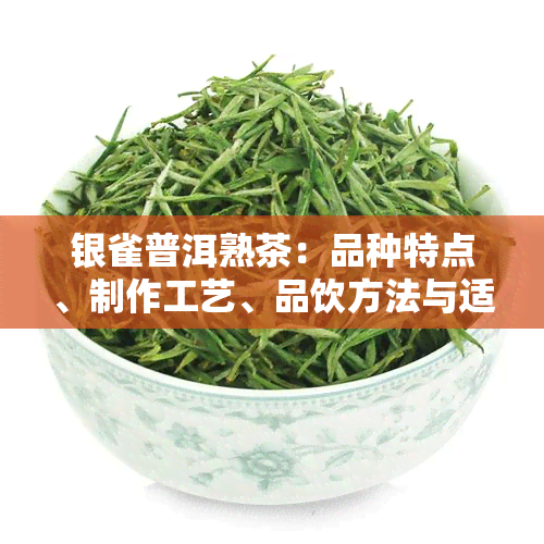 银雀普洱熟茶：品种特点、制作工艺、品饮方法与适宜人群的全面解析