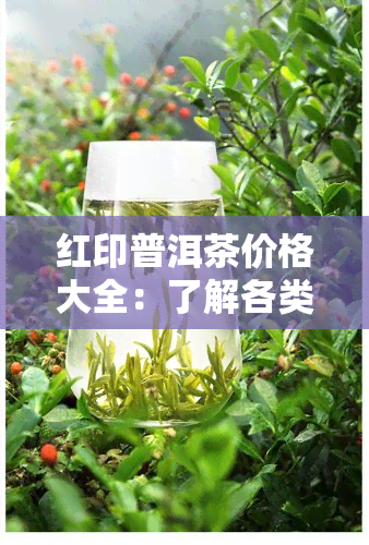 红印普洱茶价格大全：了解各类红印普洱茶的最新市场价及购买建议