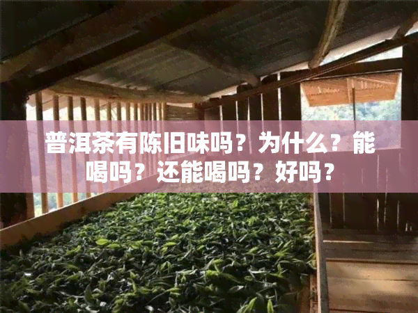 普洱茶有陈旧味吗？为什么？能喝吗？还能喝吗？好吗？