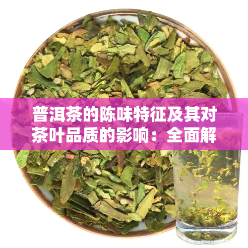 普洱茶的陈味特征及其对茶叶品质的影响：全面解析与品鉴技巧