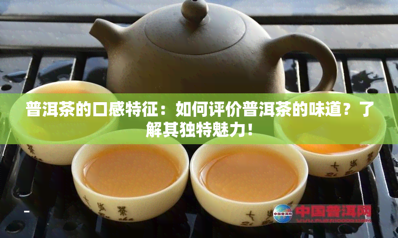 普洱茶的口感特征：如何评价普洱茶的味道？了解其独特魅力！