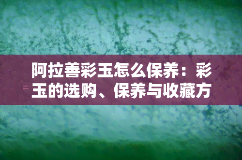 阿拉善彩玉怎么保养：彩玉的选购、保养与收藏方法全解析