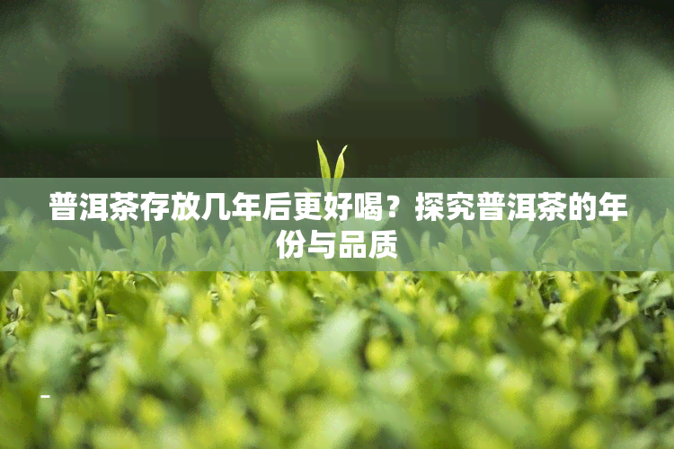 普洱茶存放几年后更好喝？探究普洱茶的年份与品质