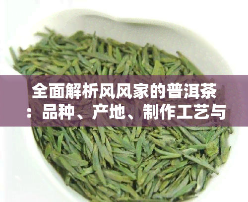 全面解析风风家的普洱茶：品种、产地、制作工艺与品饮技巧一网打尽