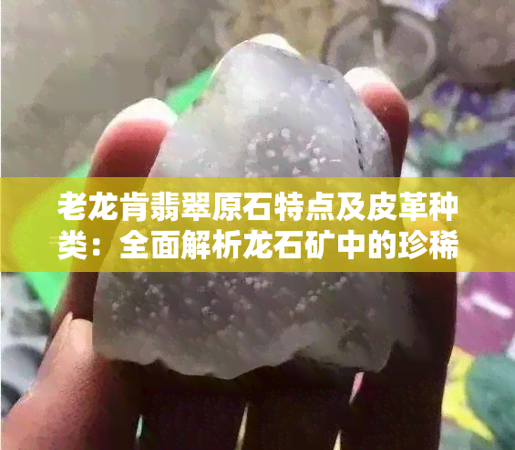 老龙肯翡翠原石特点及皮革种类：全面解析龙石矿中的珍稀宝石