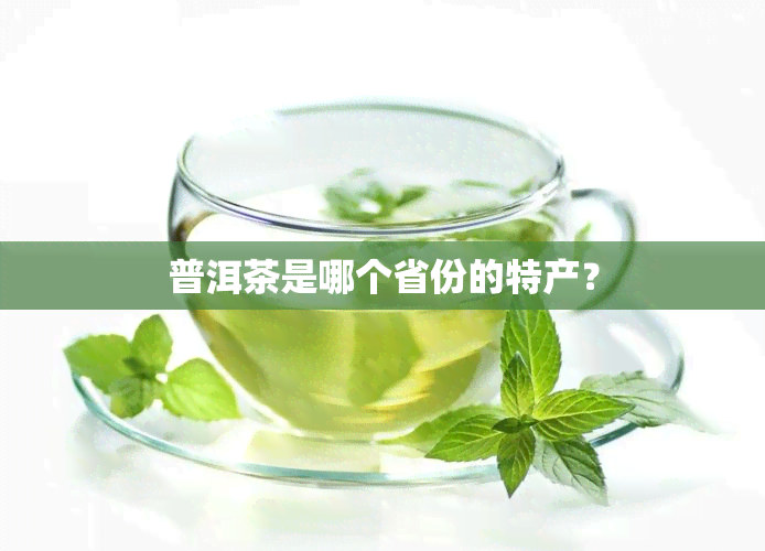 普洱茶是哪个省份的特产？