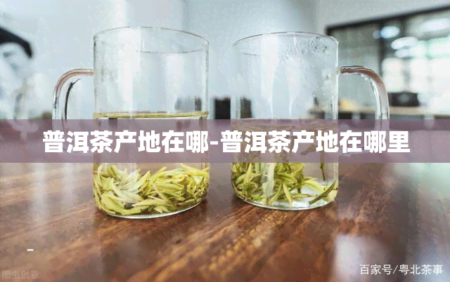 普洱茶产地在哪-普洱茶产地在哪里